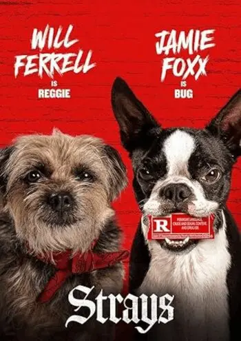 best iptv usa provider